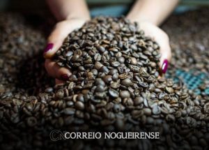 brasil-faz-acordo-com-china-que-pode-aumentar-exportacao-de-cafe-correio-nogueirense
