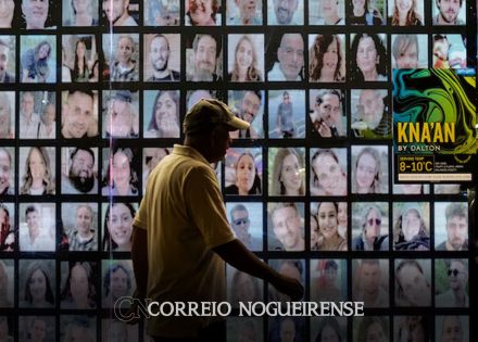 israel-diz-que-mais-de-um-terco-dos-refens-em-gaza-estao-mortos-correio-nogueirense