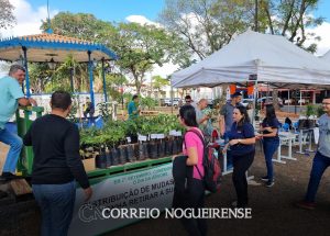 prefeitura-distribuira-mais-de-300-mudas-de-plantas-gratuitamente-nesta-sexta-em-artur-nogueira-correio-nogueirense