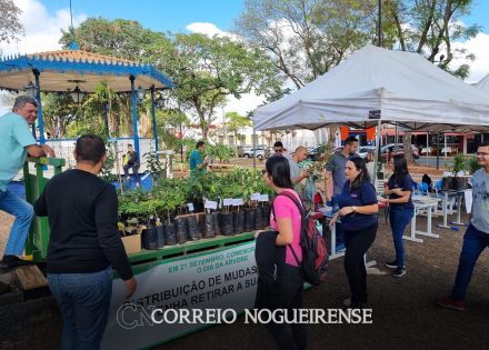 prefeitura-distribuira-mais-de-300-mudas-de-plantas-gratuitamente-nesta-sexta-em-artur-nogueira-correio-nogueirense
