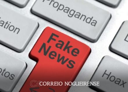 Sem nome (1140 x 815 px)_20240708_093648_0000