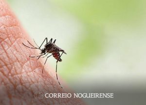 Sem nome (1140 x 815 px)_20240711_084923_0000