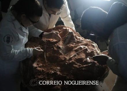 Sem nome (1140 x 815 px)_20240718_081809_0000