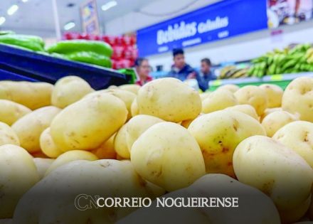 batata-inglesa-e-leite-longa-vida-puxam-inflacao-em-junho-correio-nogueirense