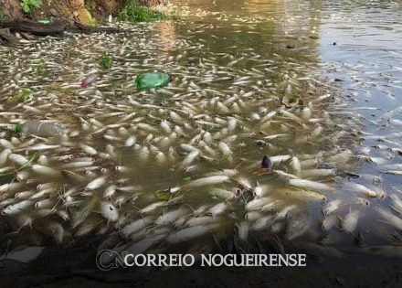 morte-de-tres-toneladas-de-peixes-no-rio-piracicaba-e-investigada-correio-nogueirense