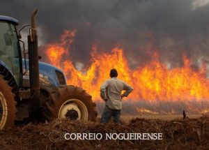 Sem nome (1140 x 815 px)_20240830_181149_0000