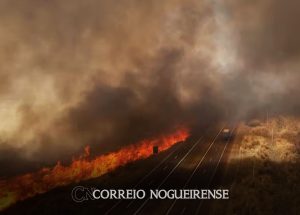 chega-a-7-o-numero-de-presos-por-suspeita-de-incendios-criminosos-no-estado-de-sp-correio-nogueirense