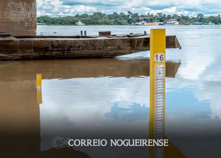 com-seca-severa-rio-madeira-chega-a-menor-nivel-em-quase-60-anos-correio-nogueirense