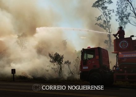 defesa-civil-diz-que-acao-humana-causou-999-dos-incendios-no-estado-de-sp-correio-nogueirense