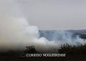 dois-homens-sao-presos-por-suspeita-de-incendios-criminosos-no-estado-correio-nogueirense