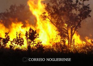 governo-do-estado-cria-gabinete-de-crise-para-combate-a-incendios-correio-nogueirense