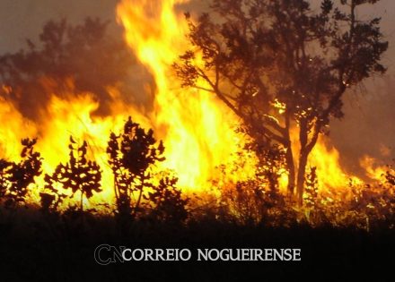 governo-do-estado-cria-gabinete-de-crise-para-combate-a-incendios-correio-nogueirense