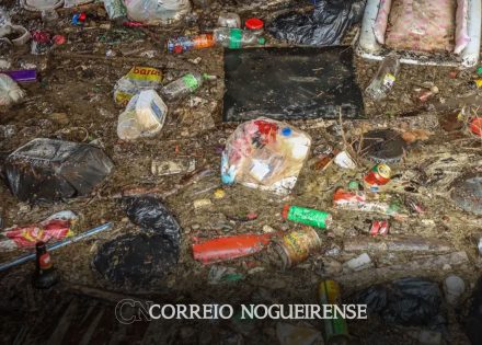 pesquisadores-brasileiros-desenvolvem-produto-plastico-antipoluente-correio-nogueirense