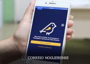 tse-recebe-em-media-uma-denuncia-de-propaganda-irregular-por-minuto-correio-nogueirense