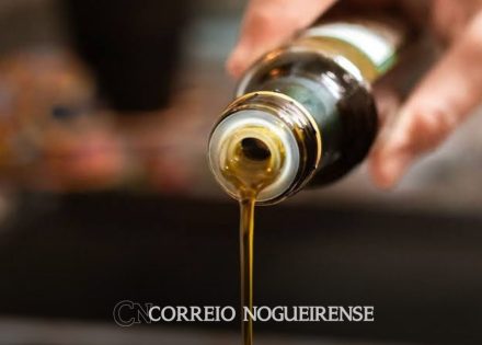 Sem nome (1140 x 815 px)_20240927_083529_0000