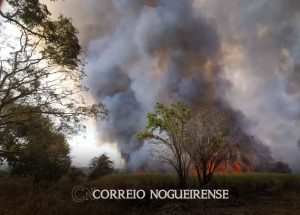 com-previsao-de-ate-39c-defesa-civil-estende-alerta-de-risco-elevado-para-incendios-correio-nogueirense