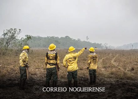 dino-estabelece-orcamento-de-emergencia-para-combate-a-incendios-correio-nogueirense