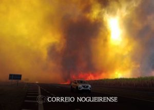 estado-de-sp-prorroga-ate-sabado-alerta-de-risco-elevado-para-incendios-correio-nogueirense