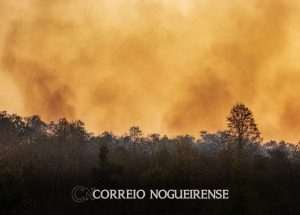 estado-de-sp-tem-alerta-para-incendios-florestais-correeio-nogueirense