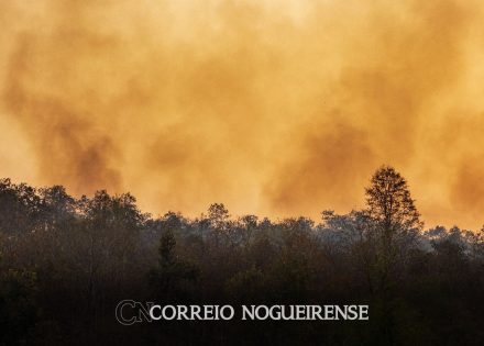 estado-de-sp-tem-alerta-para-incendios-florestais-correeio-nogueirense