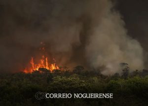 incendios-podem-ter-afetado-mais-de-11-milhoes-de-pessoas-no-brasil-correio-nogueirense