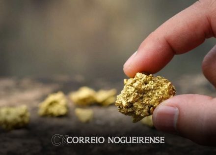maior-fiscalizacao-provoca-queda-de-84-na-extracao-de-ouro-correio-nogueirense