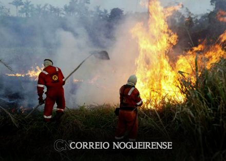 manejo-com-fogo-contrafogo-e-queimada-entenda-a-diferenca-correio-nogueirense