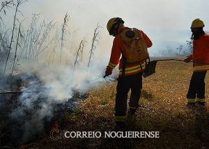 ministra-diz-que-queimadas-tem-impacto-forte-no-sistema-de-saude-correio-nogueirense