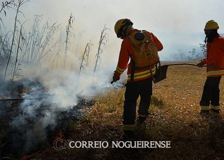 ministra-diz-que-queimadas-tem-impacto-forte-no-sistema-de-saude-correio-nogueirense