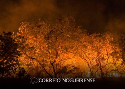 mpf-abriu-mais-de-190-investigacoes-sobre-queimadas-em-um-ano-correio-nogueirense