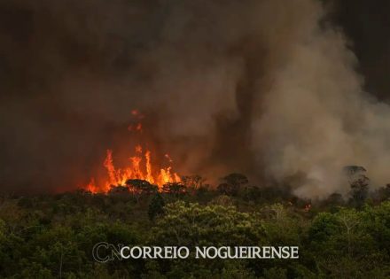 Sem nome (1140 x 815 px)_20241011_131503_0000