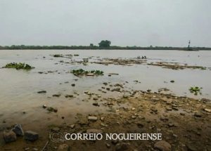 Sem nome (1140 x 815 px)_20241014_091149_0000