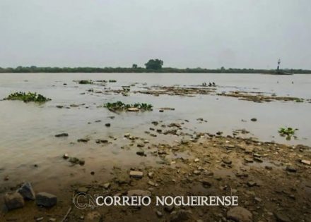 Sem nome (1140 x 815 px)_20241014_091149_0000