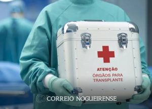 Sem nome (1140 x 815 px)_20241016_093318_0000