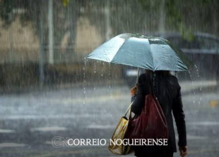 Sem nome (1140 x 815 px)_20241016_162600_0000