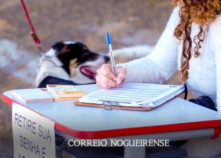 Sem nome (1140 x 815 px)_20241023_092029_0000