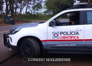 Sem nome (1140 x 815 px)_20241026_164305_0000