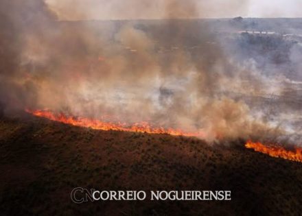 Sem nome (1140 x 815 px)_20241028_091255_0000