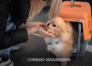 Sem nome (1140 x 815 px)_20241031_084456_0000