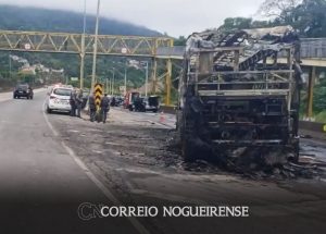 apos-morte-de-torcedor-federacao-proibe-mancha-alvi-verde-em-estadios-correio-nogueirense