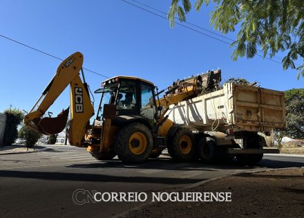 holambra-realiza-nova-etapa-da-operacao-cata-bagulho-na-proxima-semana-2-correio-nogueirense