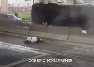 Sem nome (1140 x 815 px)_20241108_193227_0000