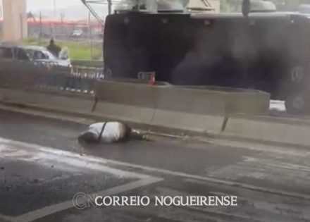 Sem nome (1140 x 815 px)_20241108_193227_0000