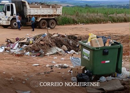 Sem nome (1140 x 815 px)_20241113_193530_0000