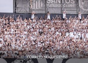 Sem nome (1140 x 815 px)_20241117_071902_0000