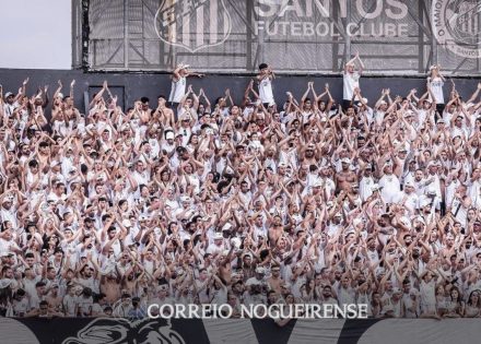 Sem nome (1140 x 815 px)_20241117_071902_0000