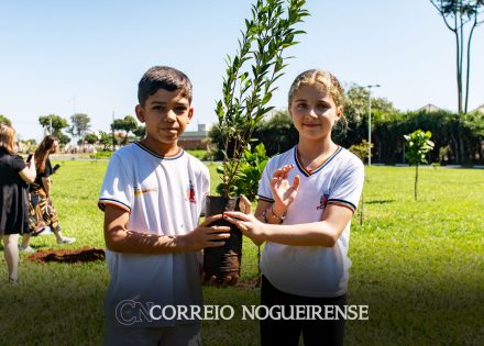 artur-nogueira-encerra-ano-letivo-de-2024-com-plantio-de-mudas-correio-nogueirense