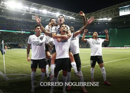 brasileirao-botafogo-vence-palmeiras-por-e-3-a-1-e-reassume-lideranca-correio-nogueirense
