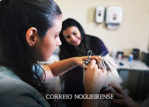 confira-os-servicos-oferecidos-pelo-departamento-de-bem-estar-animal-de-artur-nogueira-correio-nogueirense