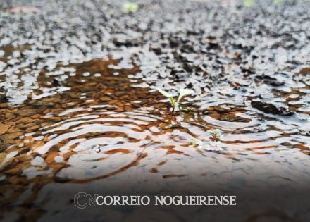 defesa-civil-alerta-para-fortes-chuvas-nos-proximos-dias-e-instala-gabinete-de-crise-correio-nogueirense